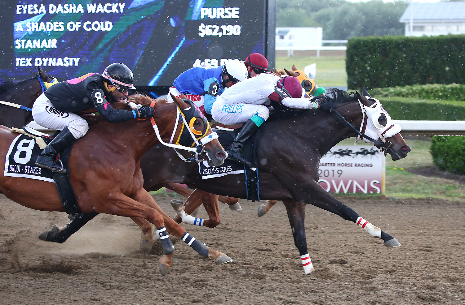 Charlotte Gets the First Prize in the Ontario Sired Stakes Futurity at Ajax Downs