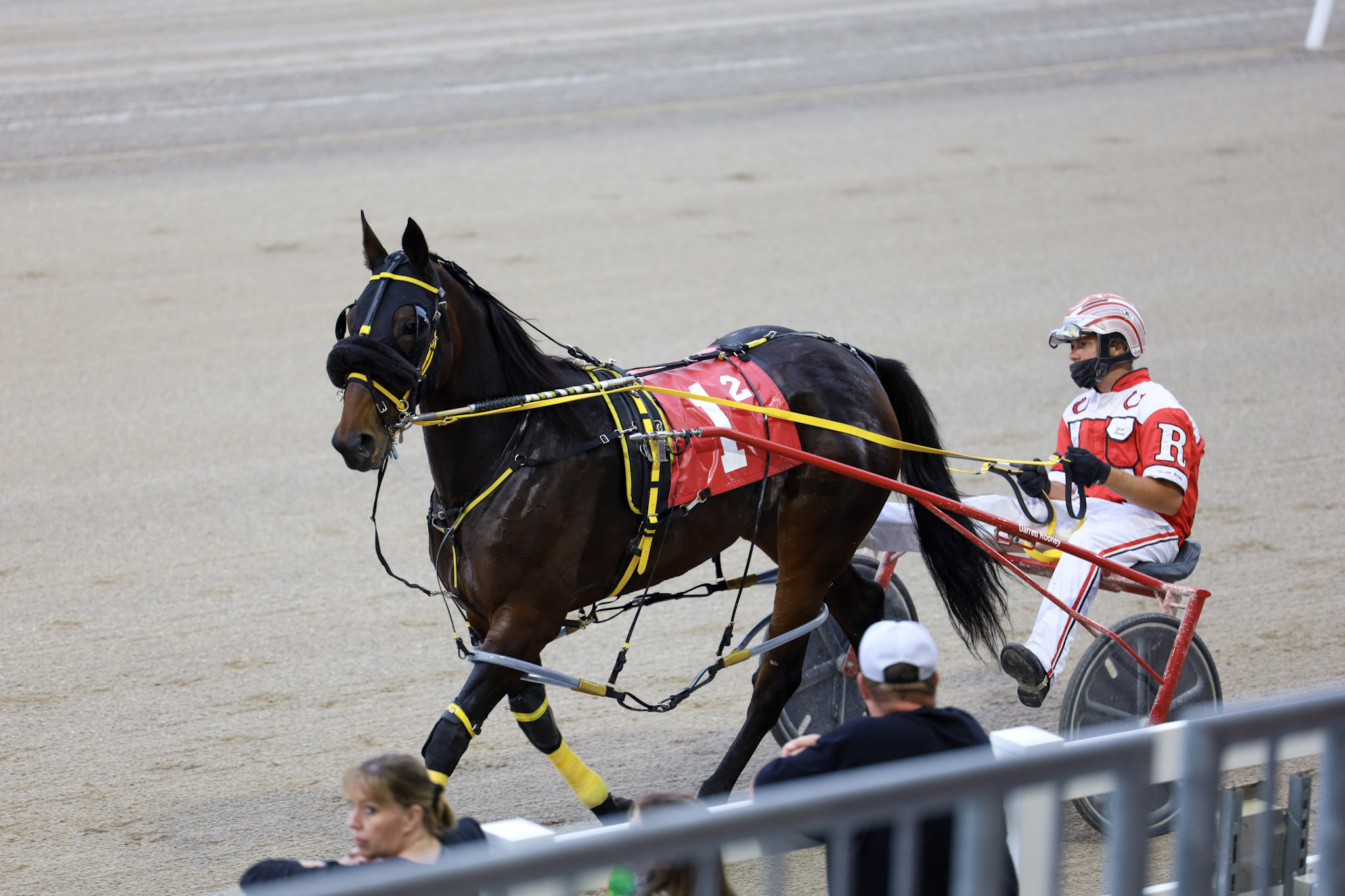 Garnet Barnsdale’s Flamboro Downs Selections for Sunday, February 13th, 2022