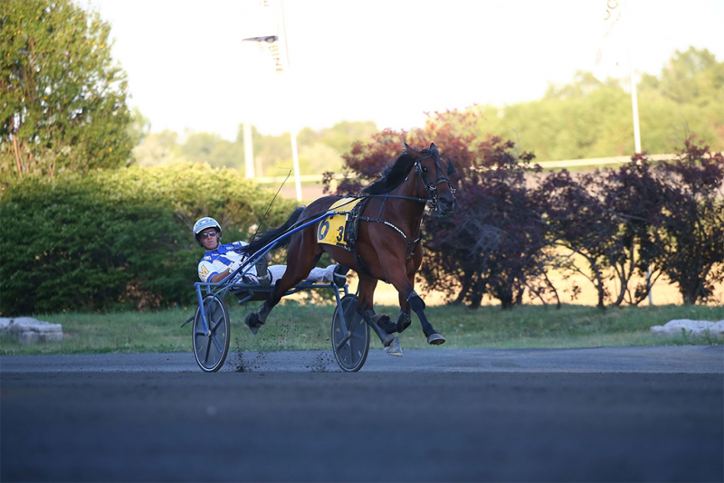 Year in Review: Adare Castle is a Once in a Lifetime Horse for Etsell and Co.