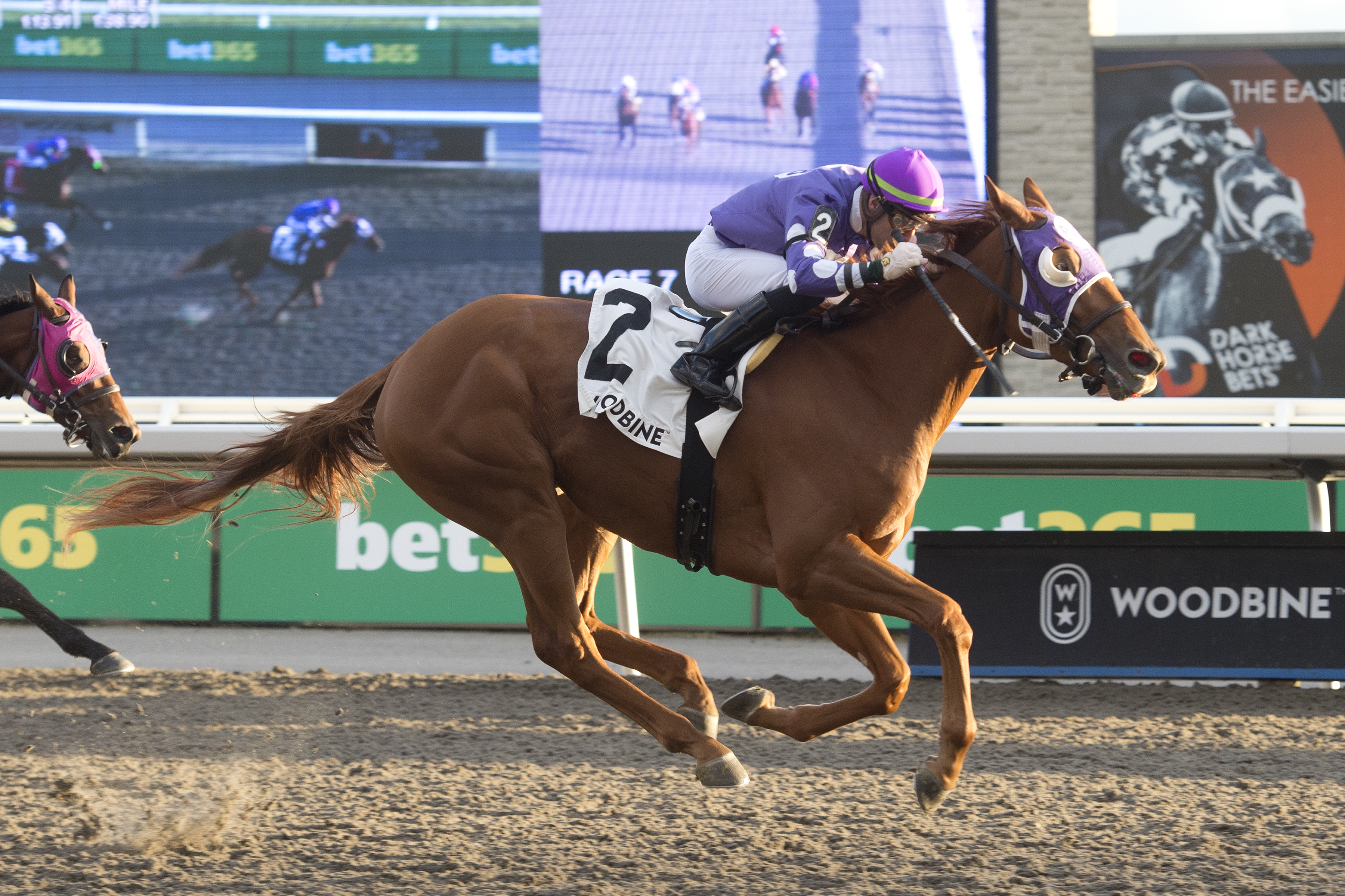 Jim's Hope Makes Winning Stakes Debut In $100,000 Lake Ontario ...