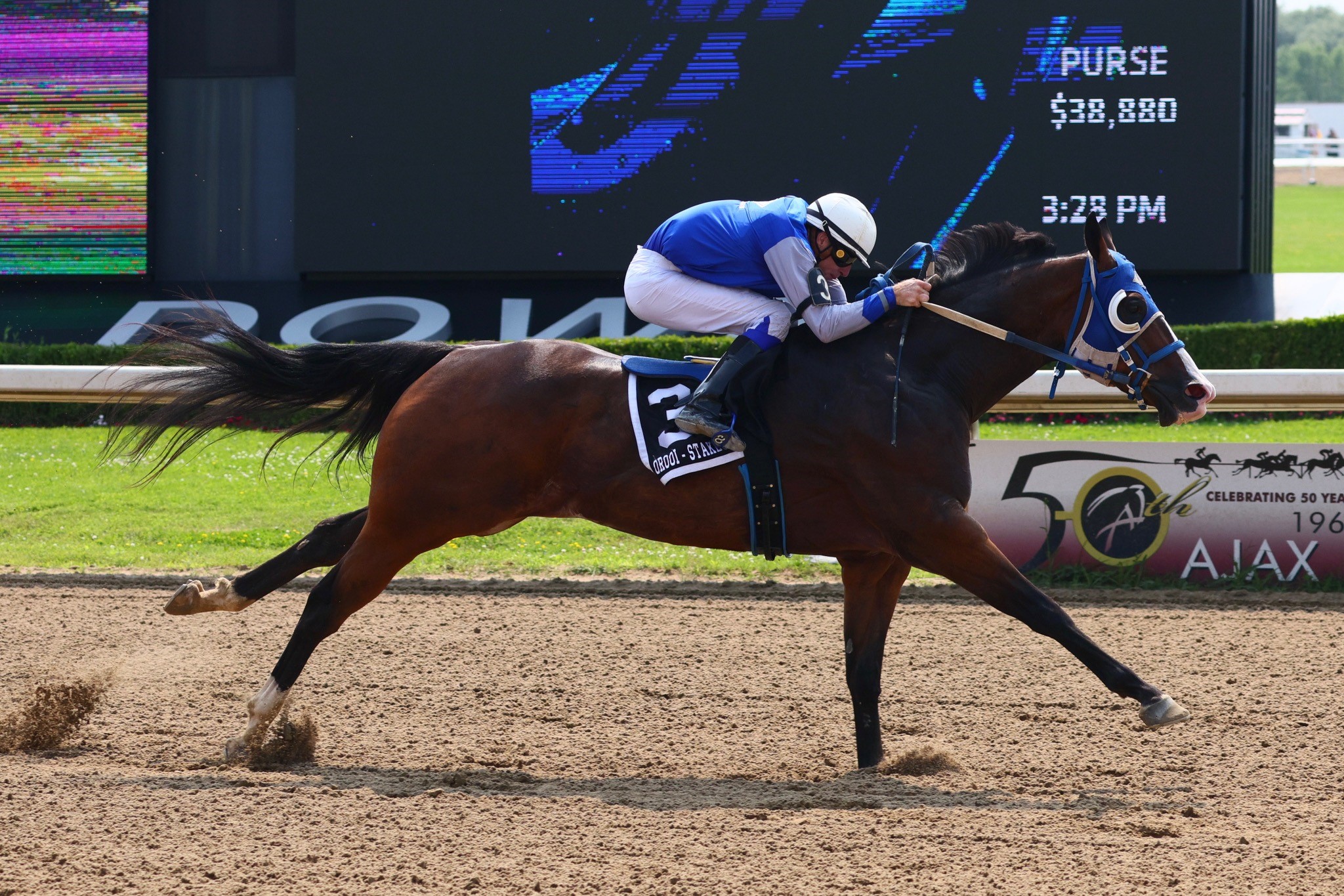 Had to Be Ivory Wins 8th Straight in Front of Big Ajax Downs Crowd