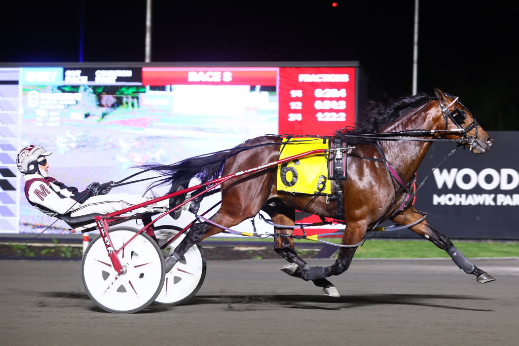 Divine karma led Memorial Cup-bound London Knights’ coach Dale Hunter to own star horse Crack Shot