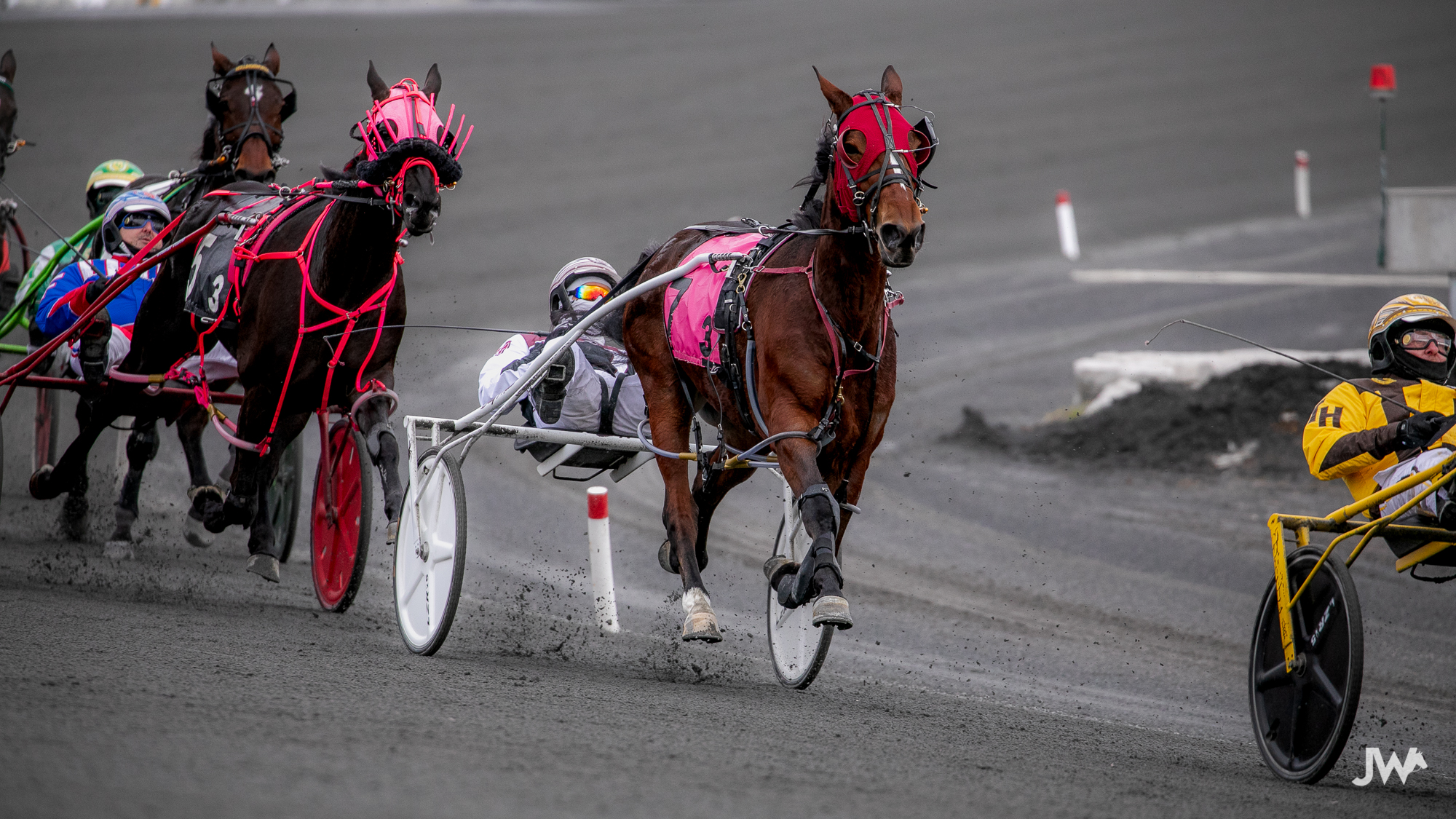 Bet Now – Horse Racing | Ontario Racing - Ontario Racing