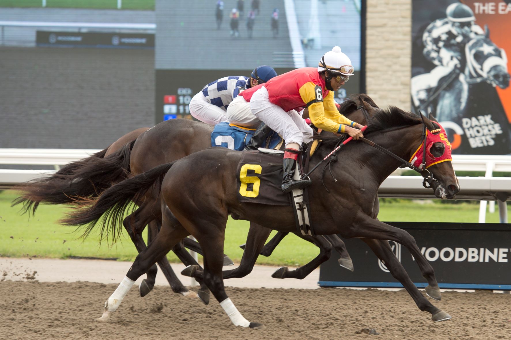 Year in Review: #QP2022 Breeder Profile: Sam-Son Farm