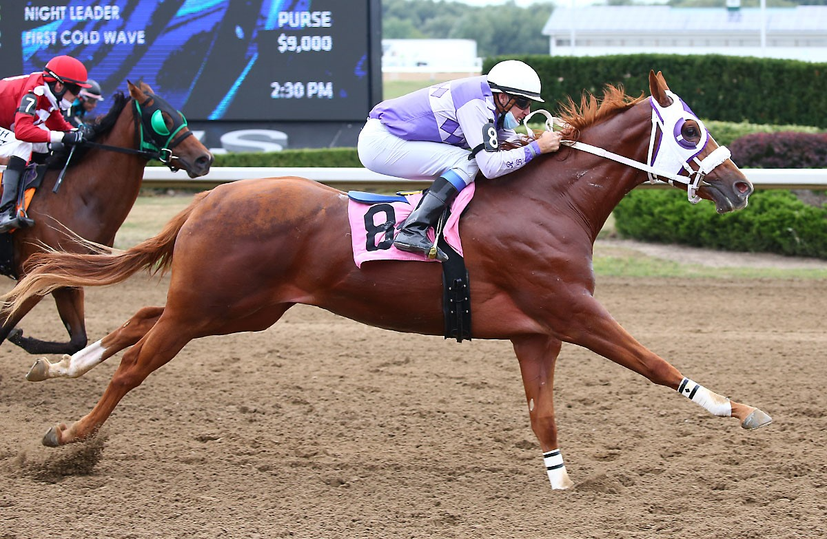 Ontario Sired and Bred First Cold Wave Named 2021 Ajax Downs Horse of the Year
