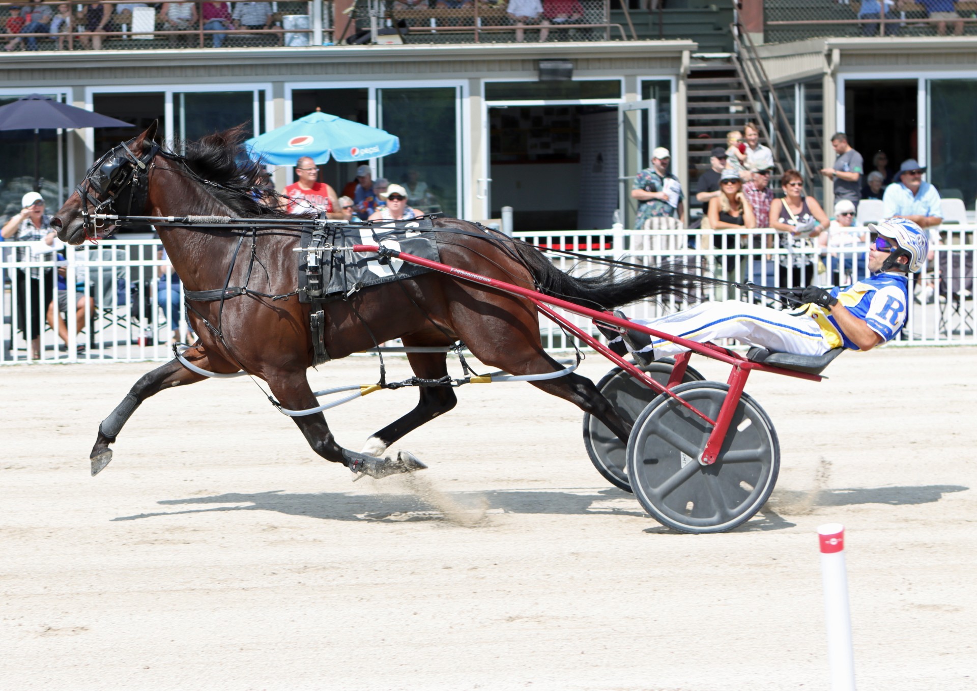 Determination Stable, Blais, Roy sweep Grassroots events at Hanover Raceway
