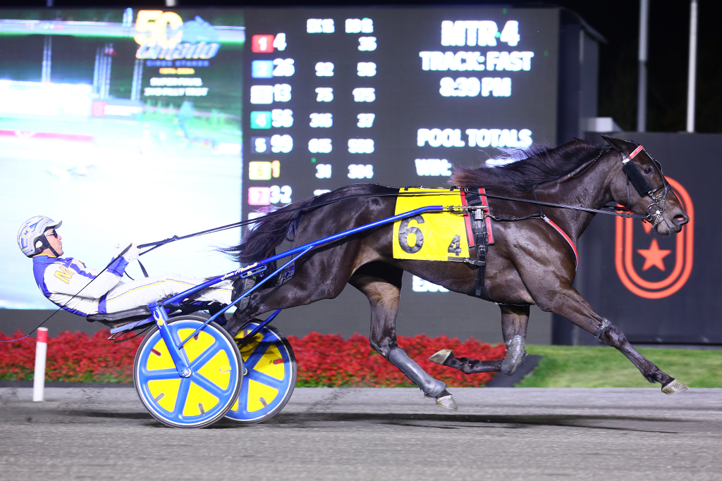 Willys Home Run hits it out of the park again to win OSS Gold Super Final