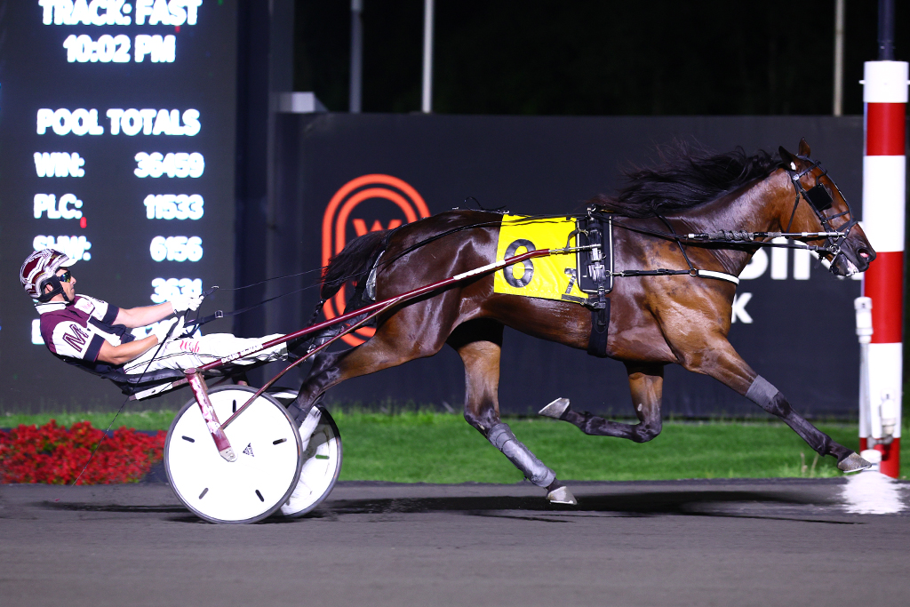 Ways N Means scores OSS Gold Mid-Season Final win for three-year-old trotting males