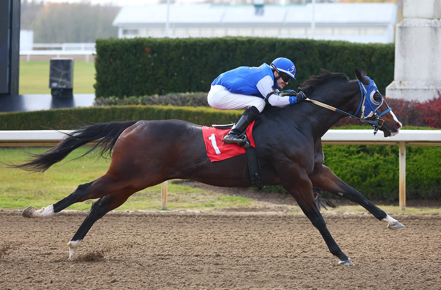 Had to Be Ivory sets record on Ajax Downs closing day with 'a demolishing win'