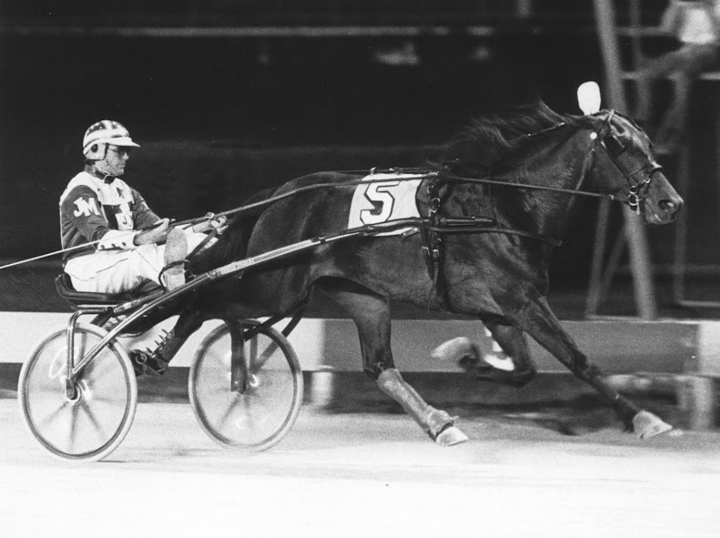 OSS 50th Anniversary: How Kawartha Downs helped future stars get their start