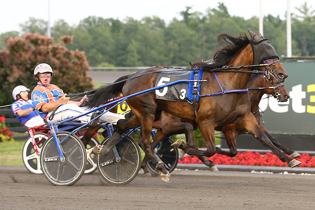 Spotlight placed on Ontario Sires Stakes rookies at Woodbine Mohawk Park