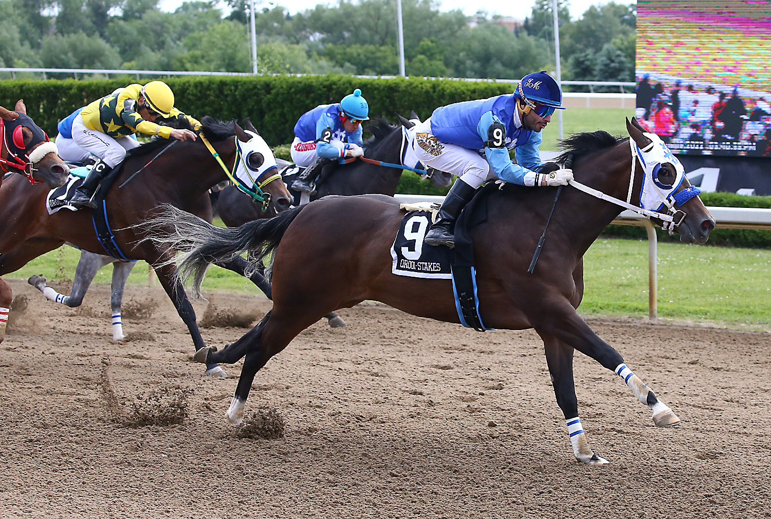 Eye Live for Candy wins Princess Derby at Ajax Downs