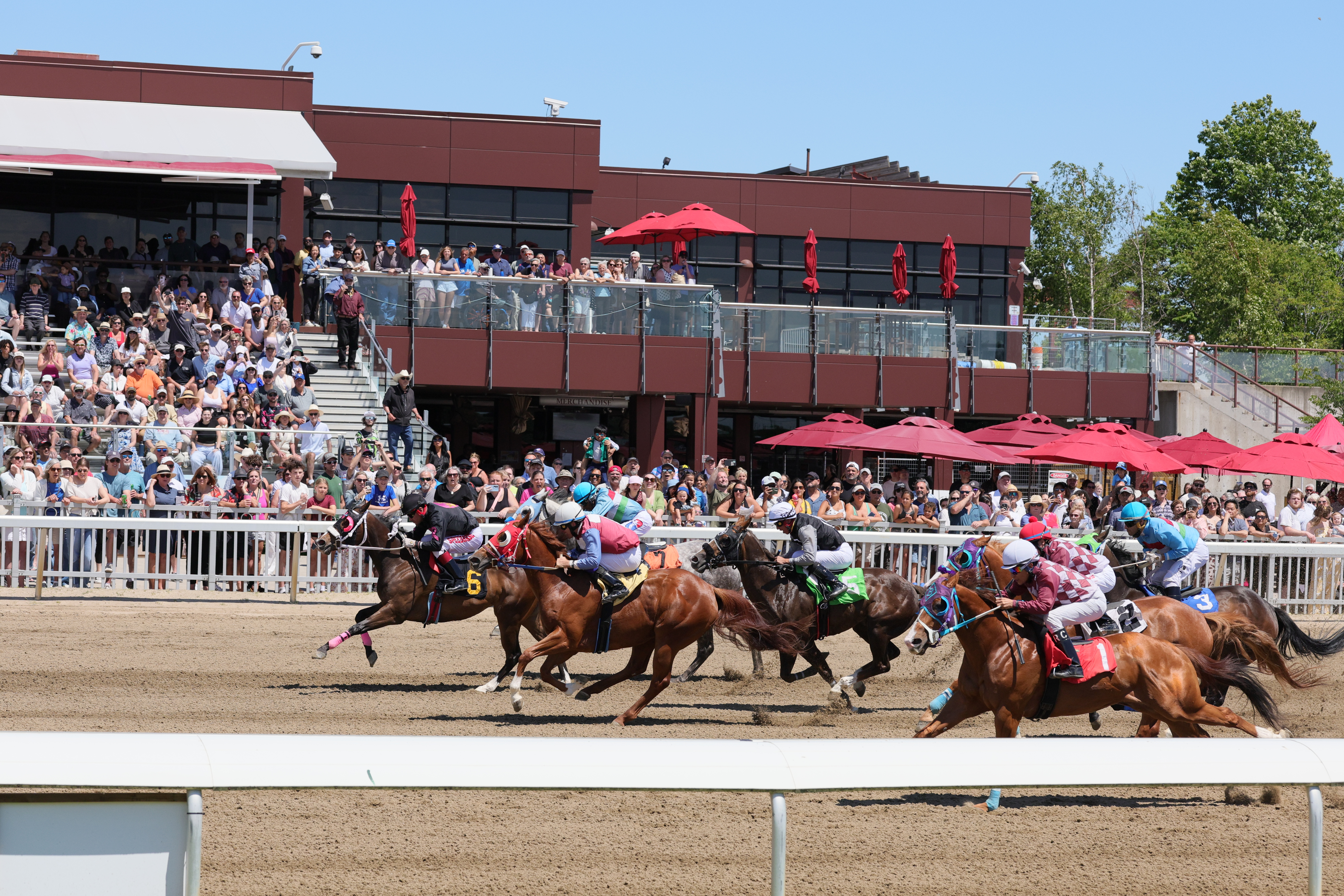 Ontario’s Quarter Horse industry receives additional funding of $780,000
