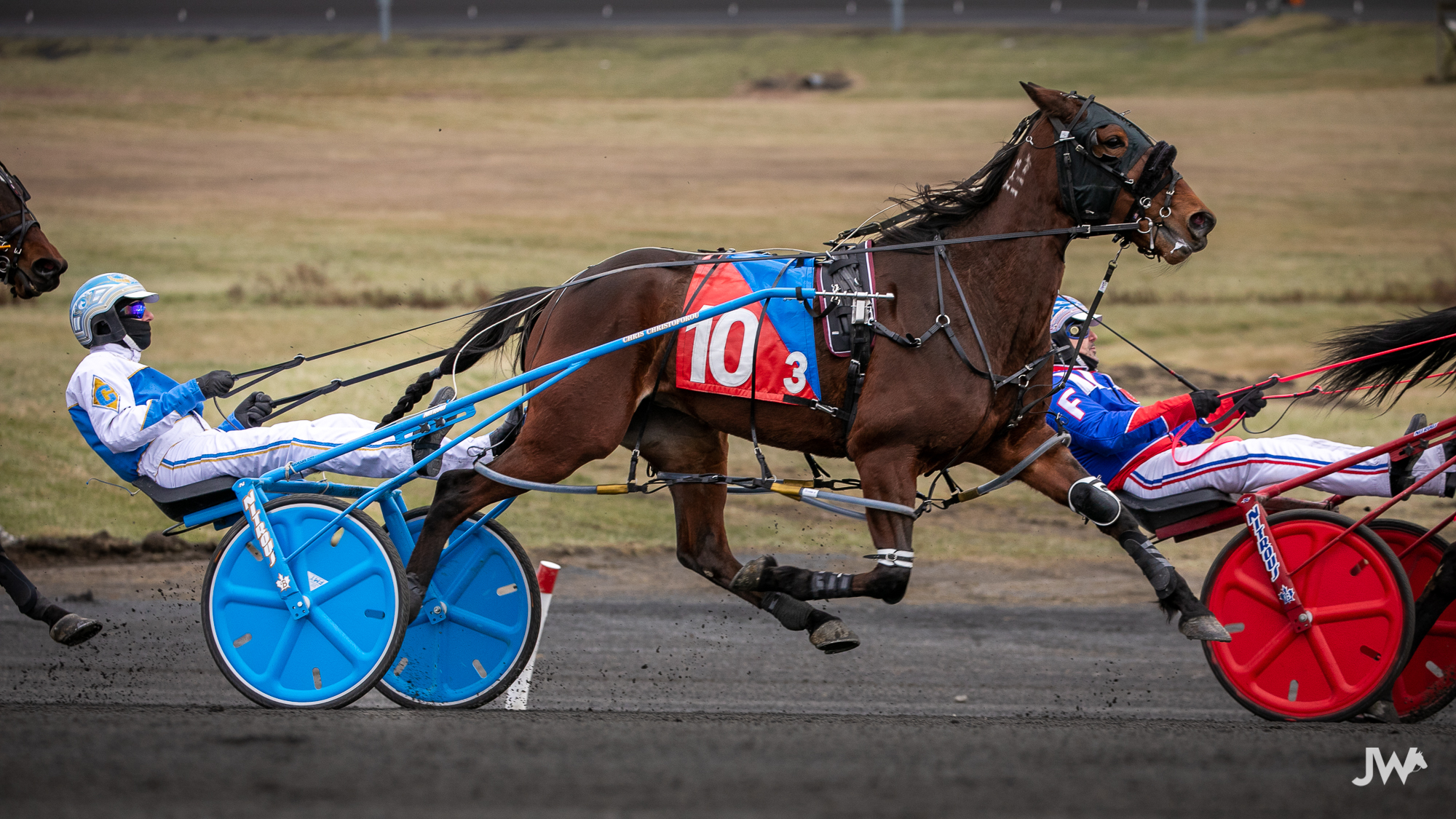 Bet Now – Horse Racing | Ontario Racing - Ontario Racing