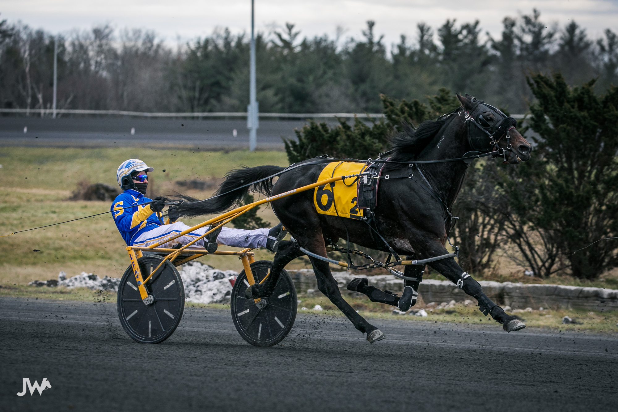 Bet Now – Horse Racing | Ontario Racing - Ontario Racing