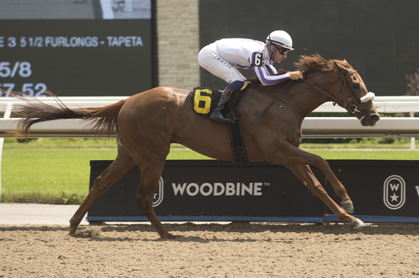 Ontario Bred Dreaming of Drew Headlines Woodbine Racetrack's Opening Day Long Branch Stakes