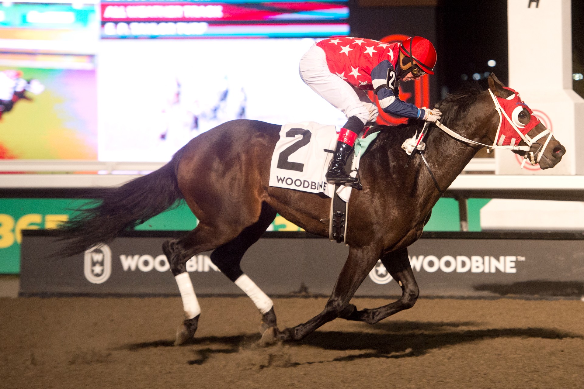 No More Options comes up big in Lake Ontario