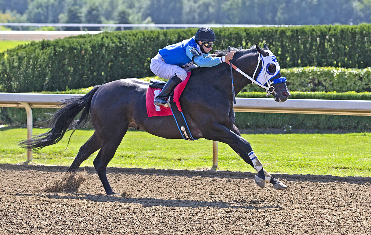 Stallion Spotlight Ontario Racing