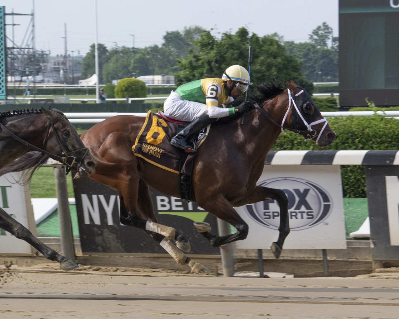 #QP22 Breeder Profile: Chiefswood Stable