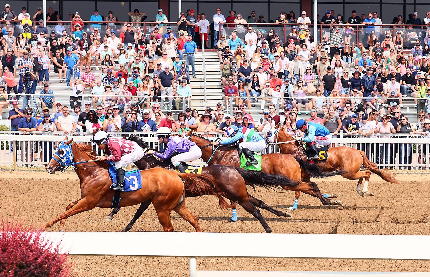 Jockey Brian Bell Wins 5 Races on Father's Day at Ajax Downs