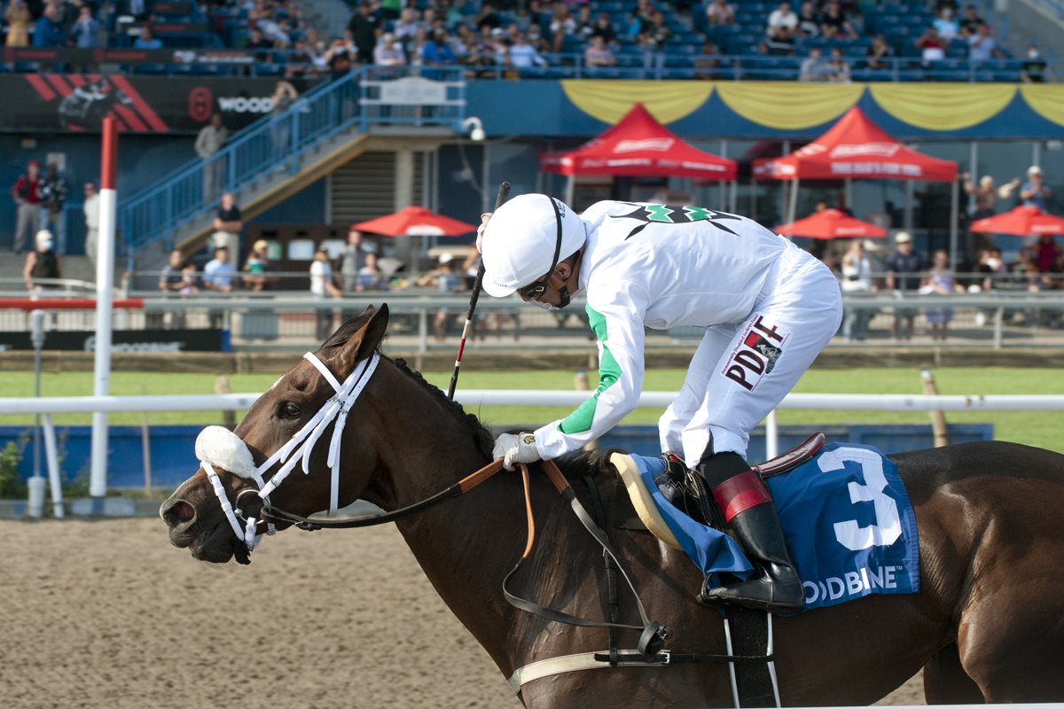 Year in Review: #QP2022 Breeder Profile: Adena Springs