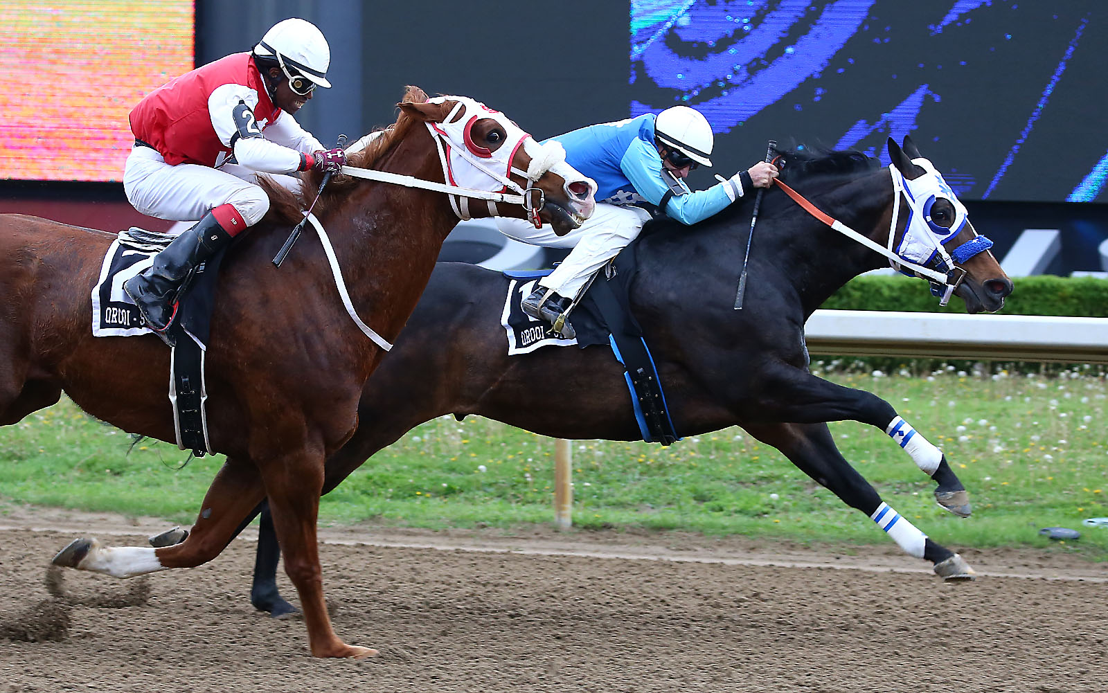 Sprint Series Leg 2 Highlights Nine-Race Card at Ajax Downs