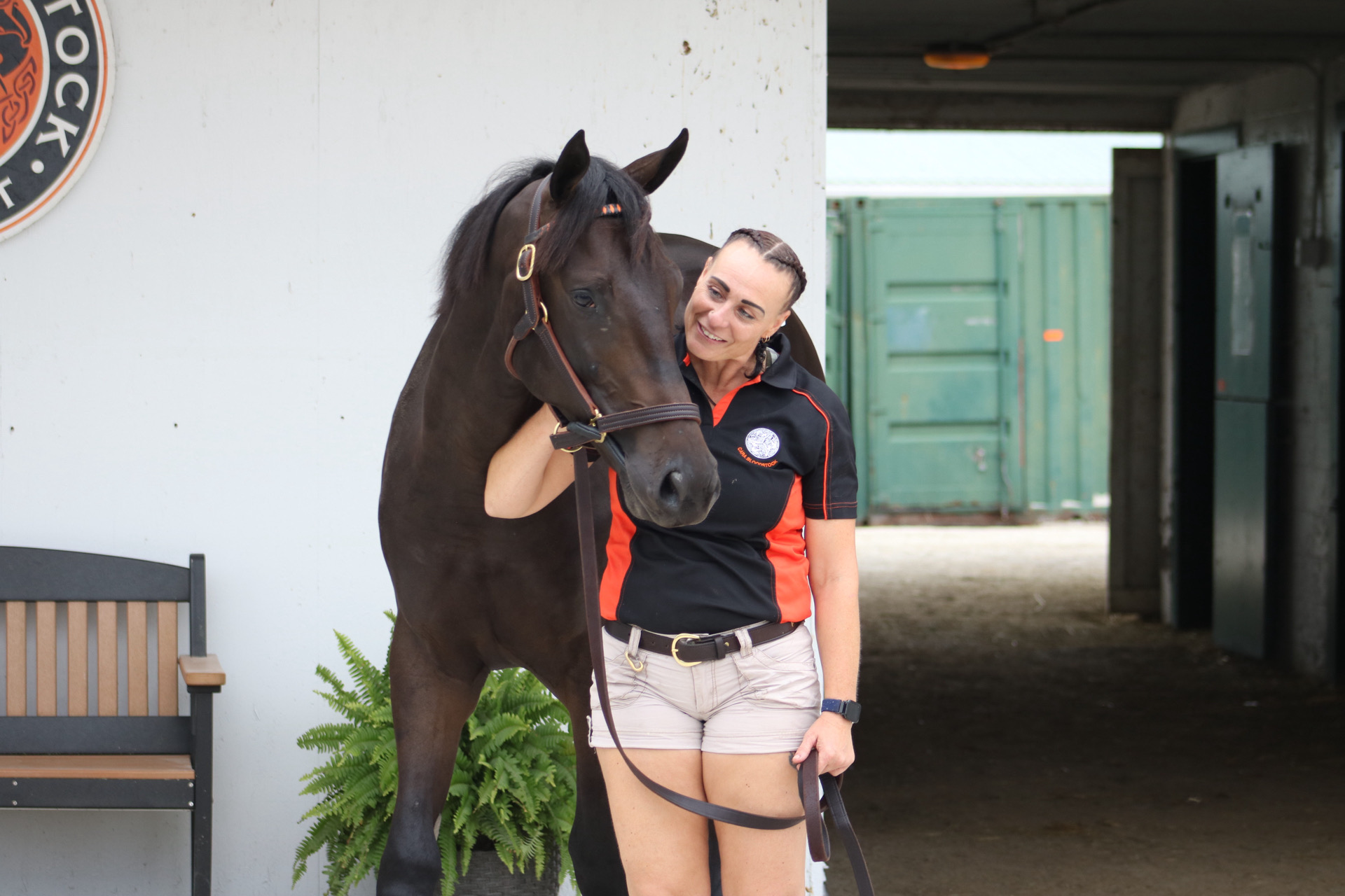 2024 Ontario CTHS sale-topper has the pedigree to become something special