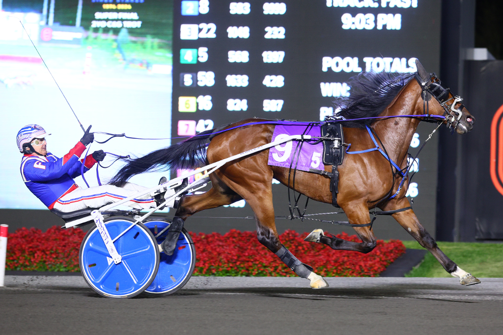 You Got It Kemp dominant in Ontario Sires Stakes Gold Super Finals score