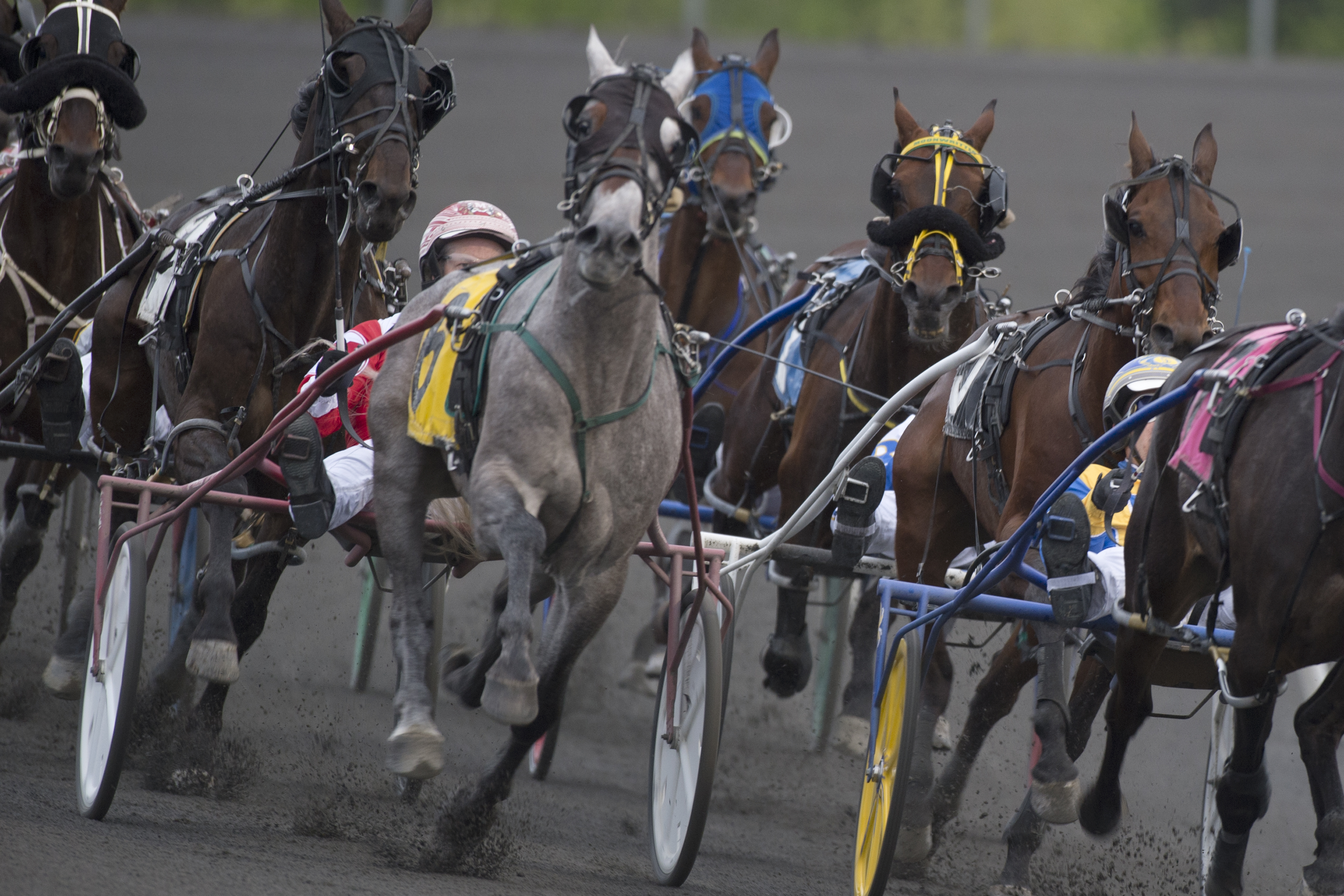 Charles Juravinski Memorial Cup