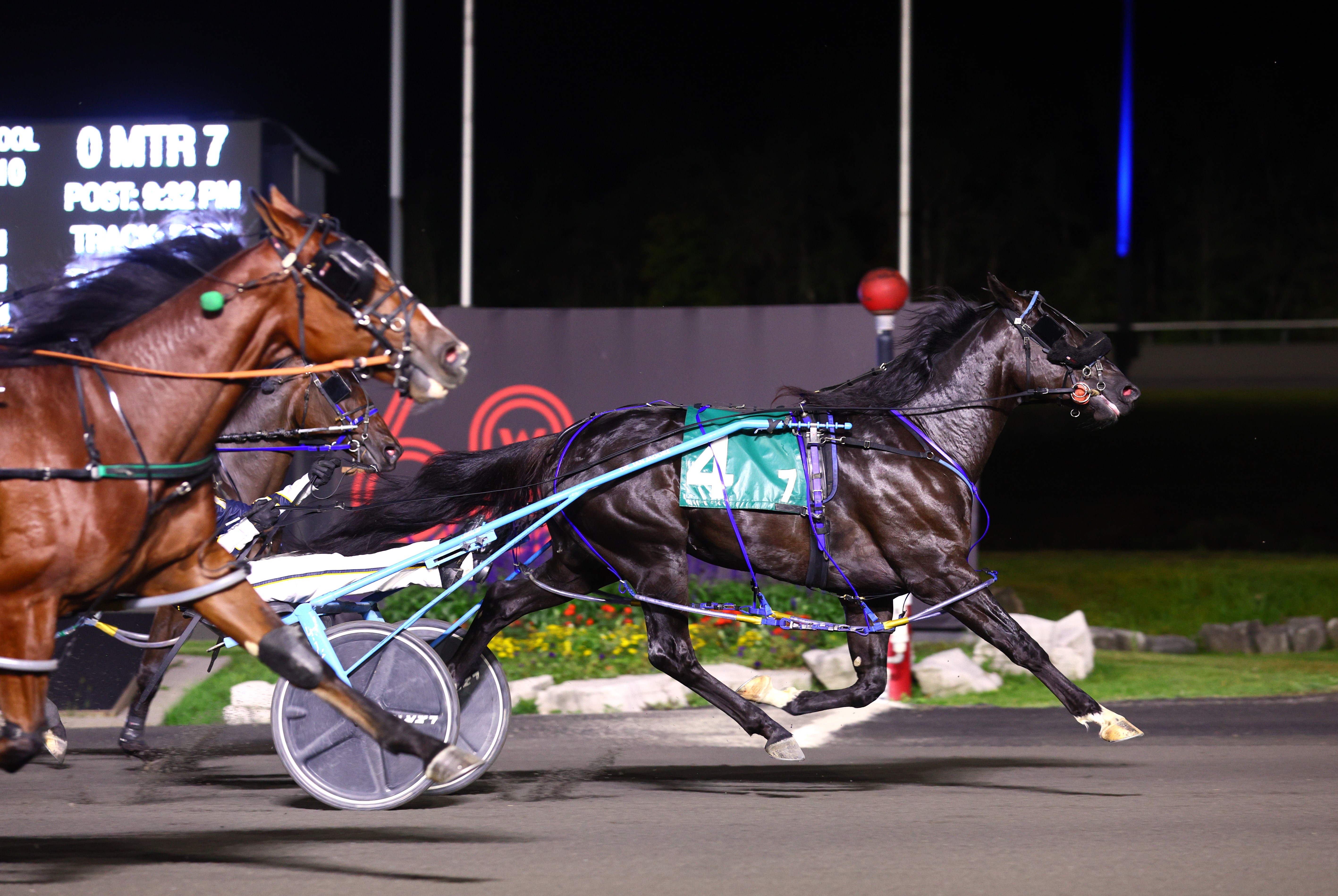 OSS 50th Anniversary Season kicks off May 19