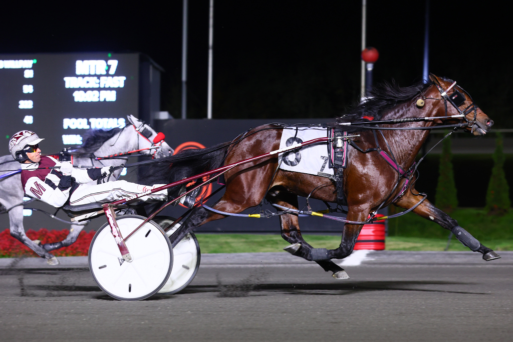 Crack Shot doubles up on OSS championship victories with win in Gold Super Final