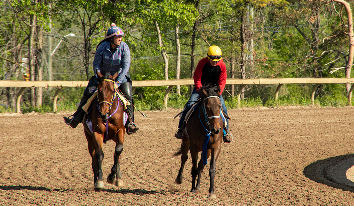 Fort Erie Season Starts May 31