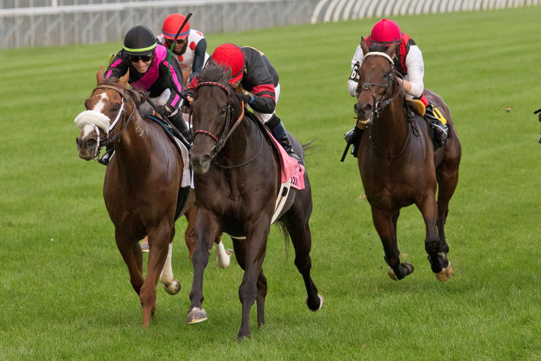 Ontario Sired Silent Poet Headlines G3 Jaques Cartier