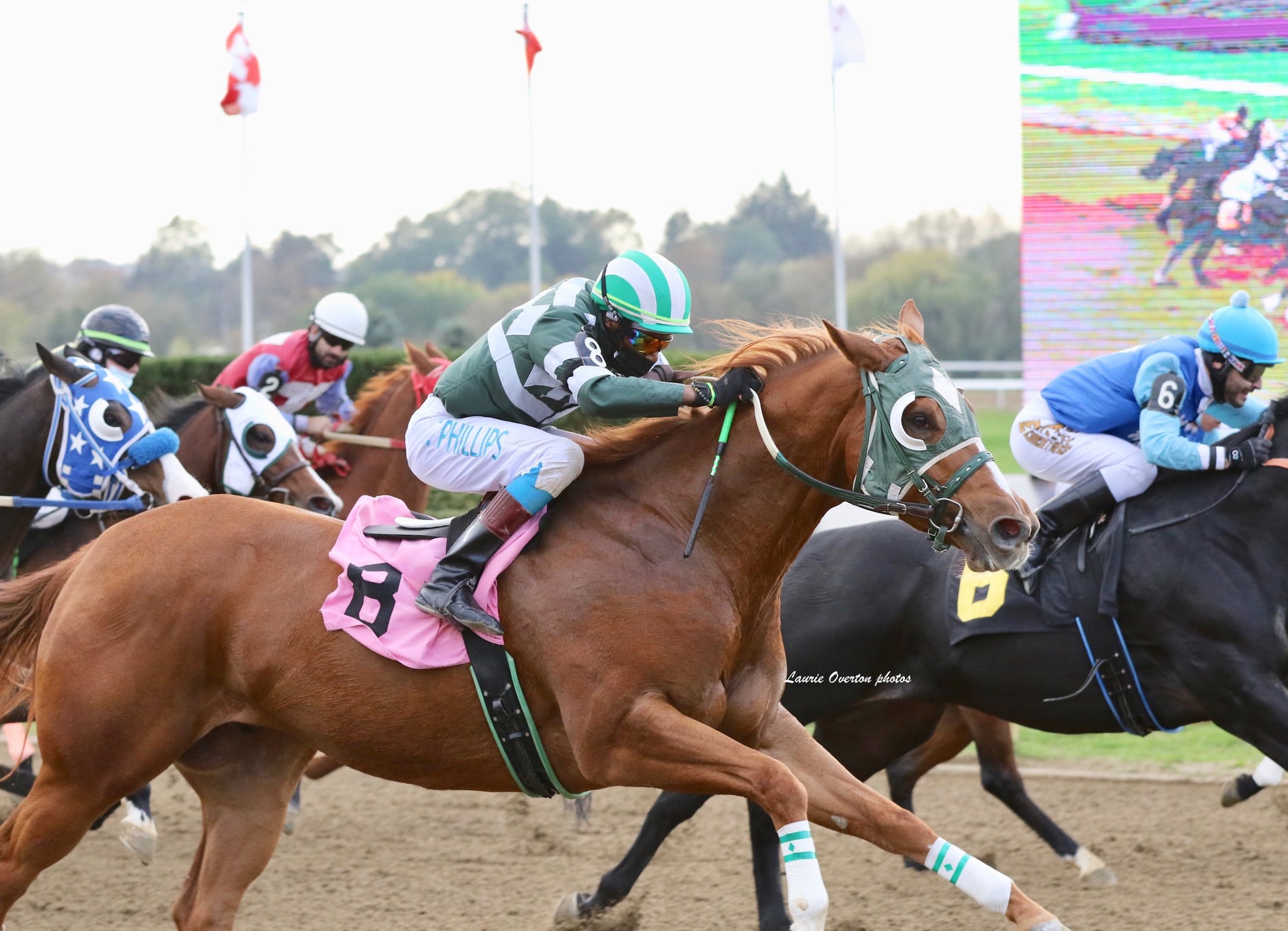 Sunday May 22 is Fan Appreciation day at Ajax Downs