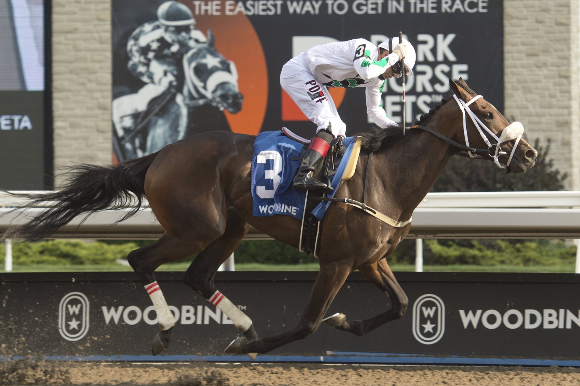 Woodbine Oaks: Historical Handicapping Trends