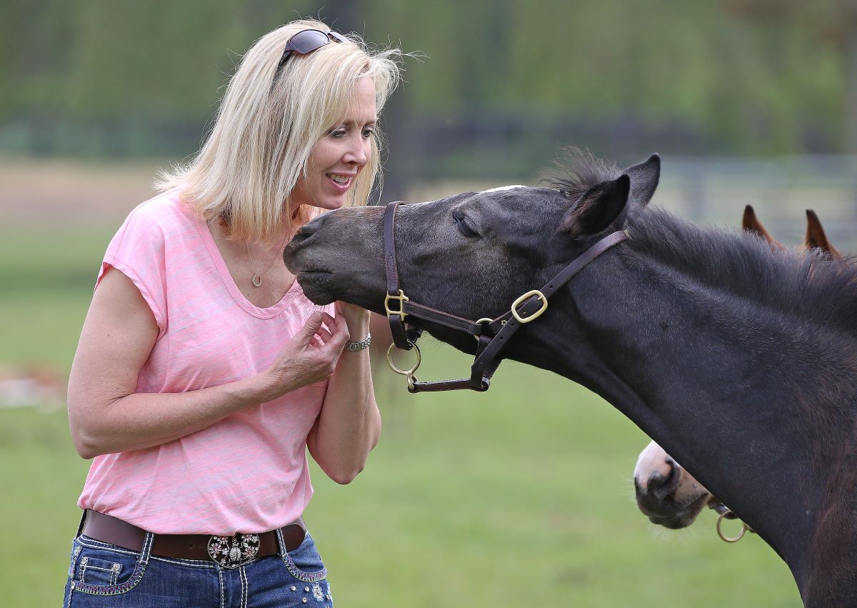 Fear is rising that tariffs will decimate Ontario's horse racing industry