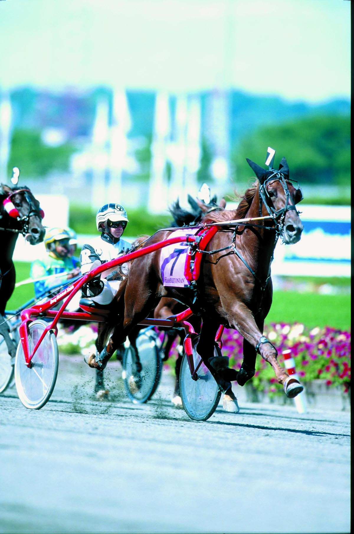 How quitting over the Hambletonian led Trevor Ritchie to glory with the race’s first Ontario-sired winner