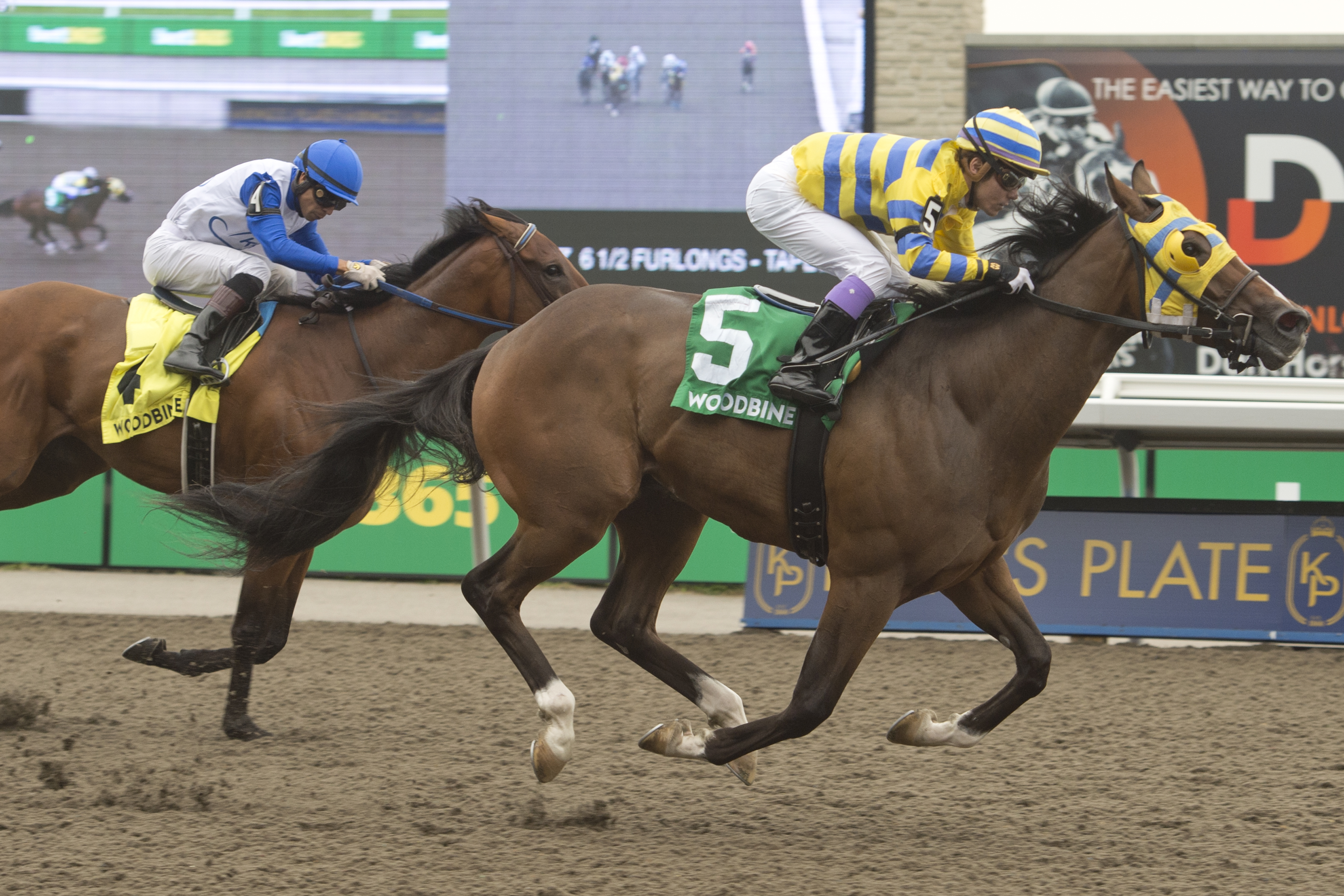 Patches O’Houlihan Makes it Five Straight Wins with Grade 3 Bold Venture Triumph