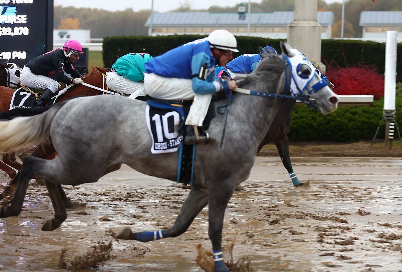 Snow Moose Muscles to Victory in Alex Picov Futurity