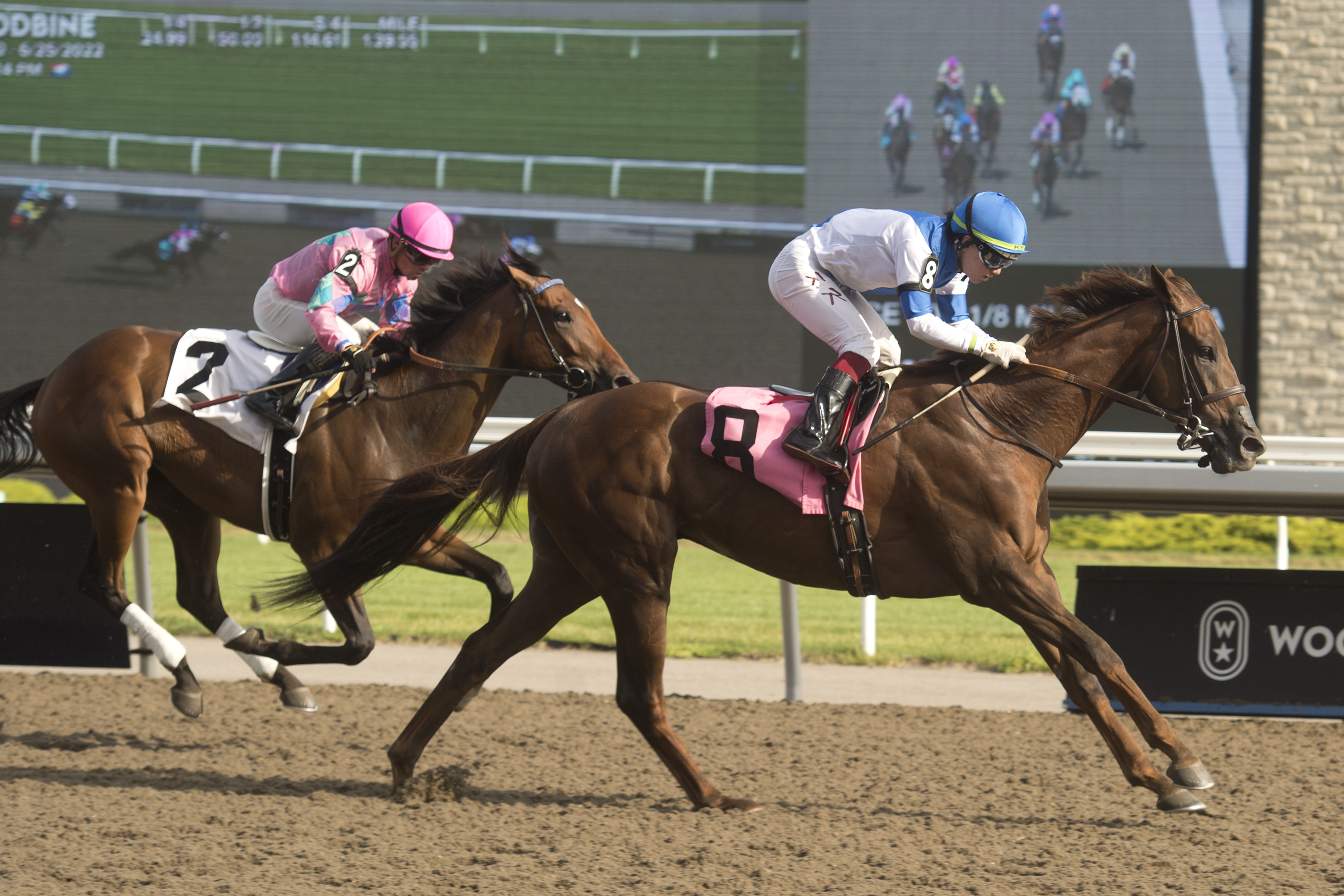 #QP22 Breeder Profile: Hall of Dreams