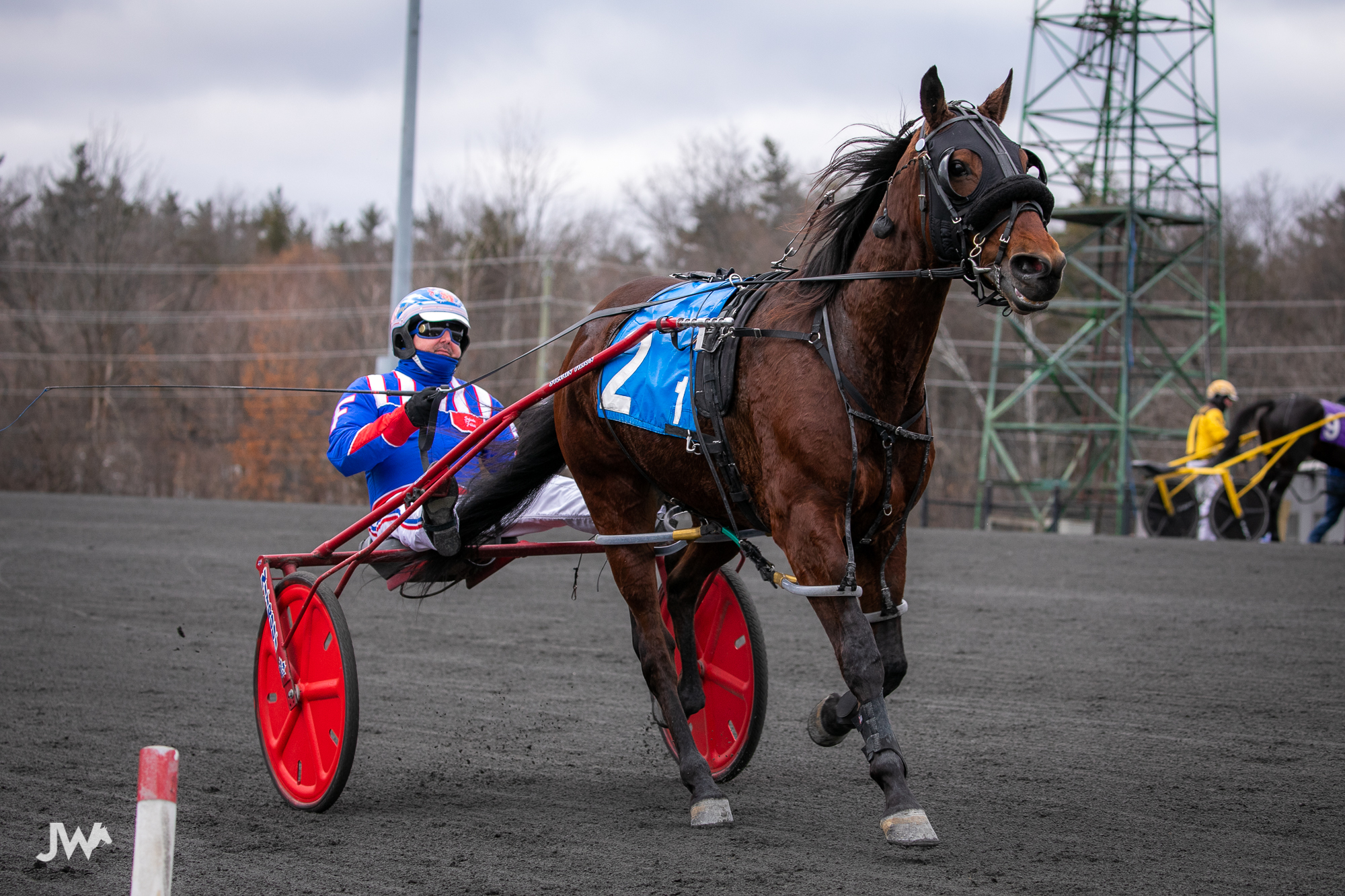 Bet Now – Horse Racing | Ontario Racing - Ontario Racing