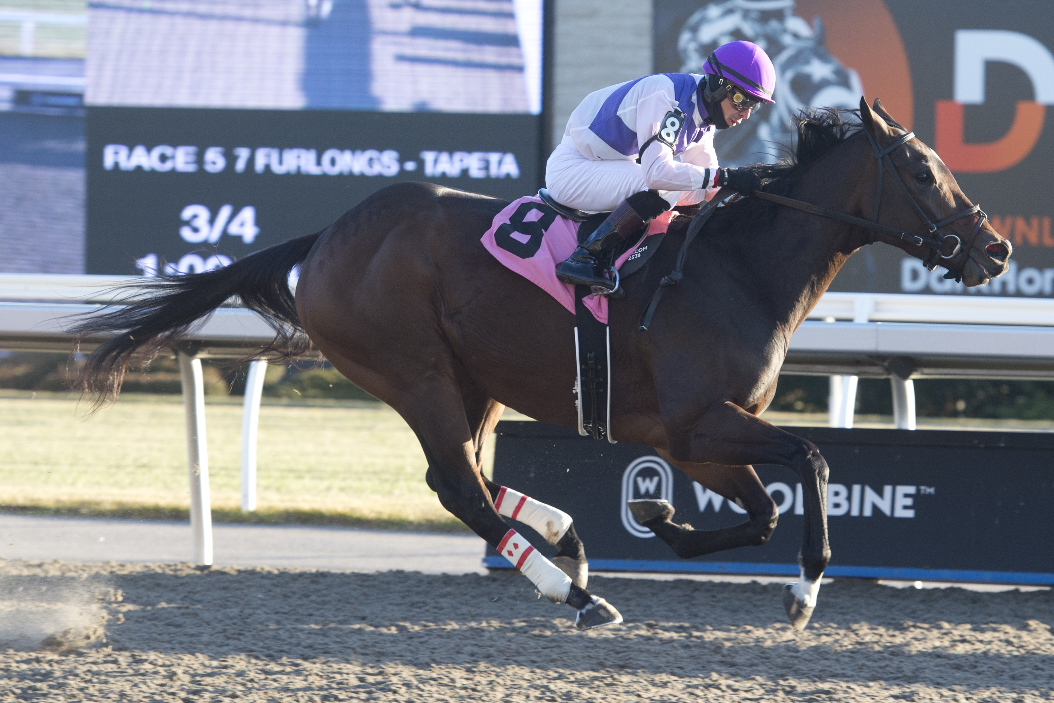 Steve Attard-Trained Awesome Treat takes on 13 in Grade 2 Bessarabian