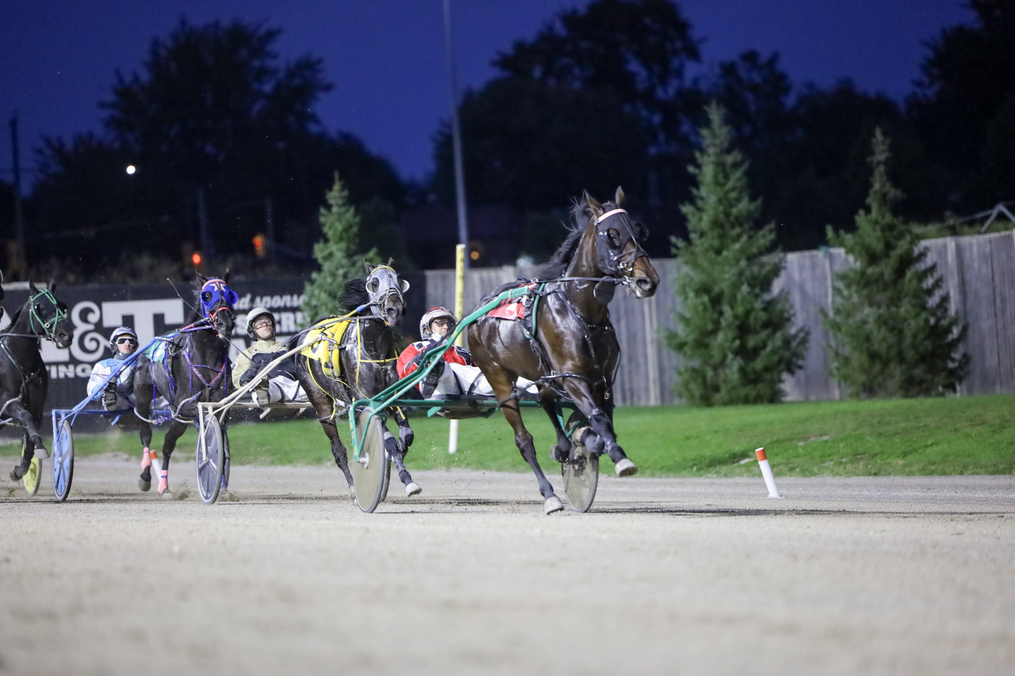 Ontario Racetrack Bet Now – Horse Racing | Ontario Racing - Ontario Racing