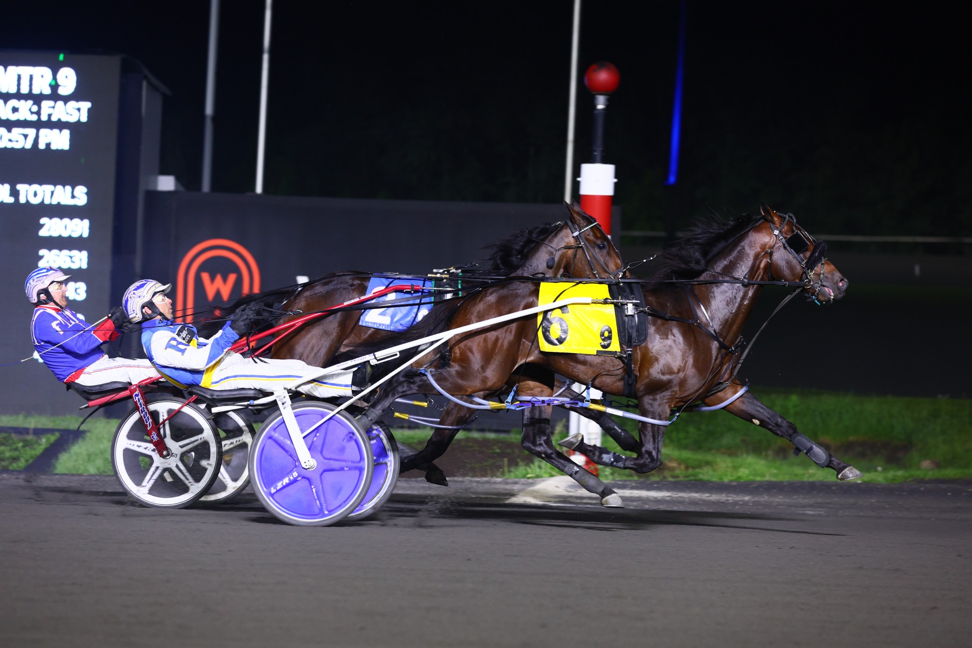 OSS horses to watch in 41st Pepsi North America Cup elimination races