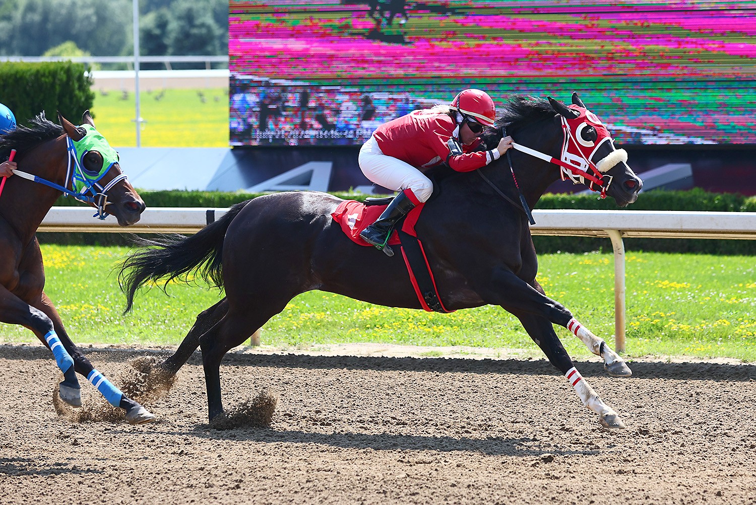 Handicapping the Princess Derby at Ajax Downs