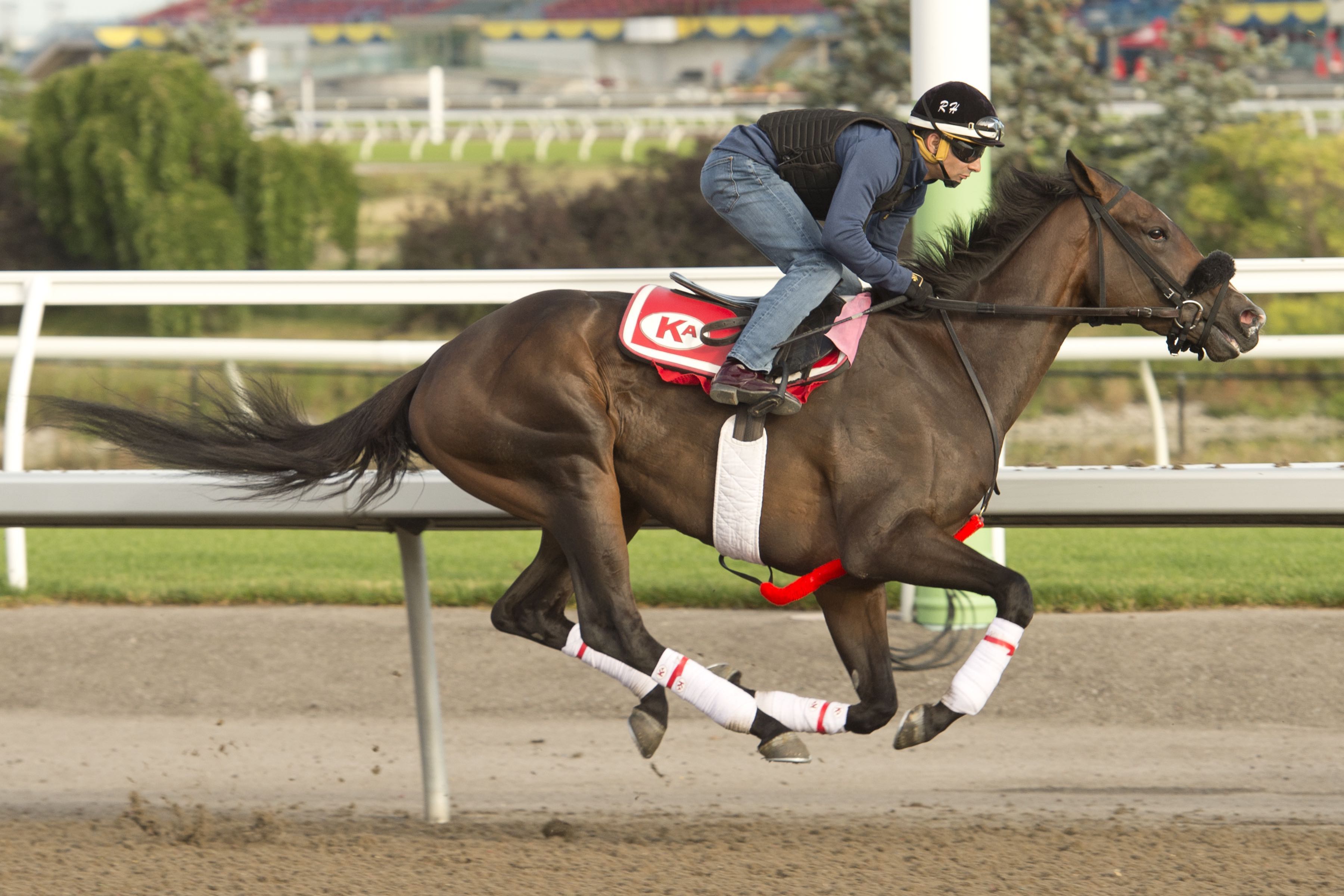 #QP22 Storylines from Draw Day