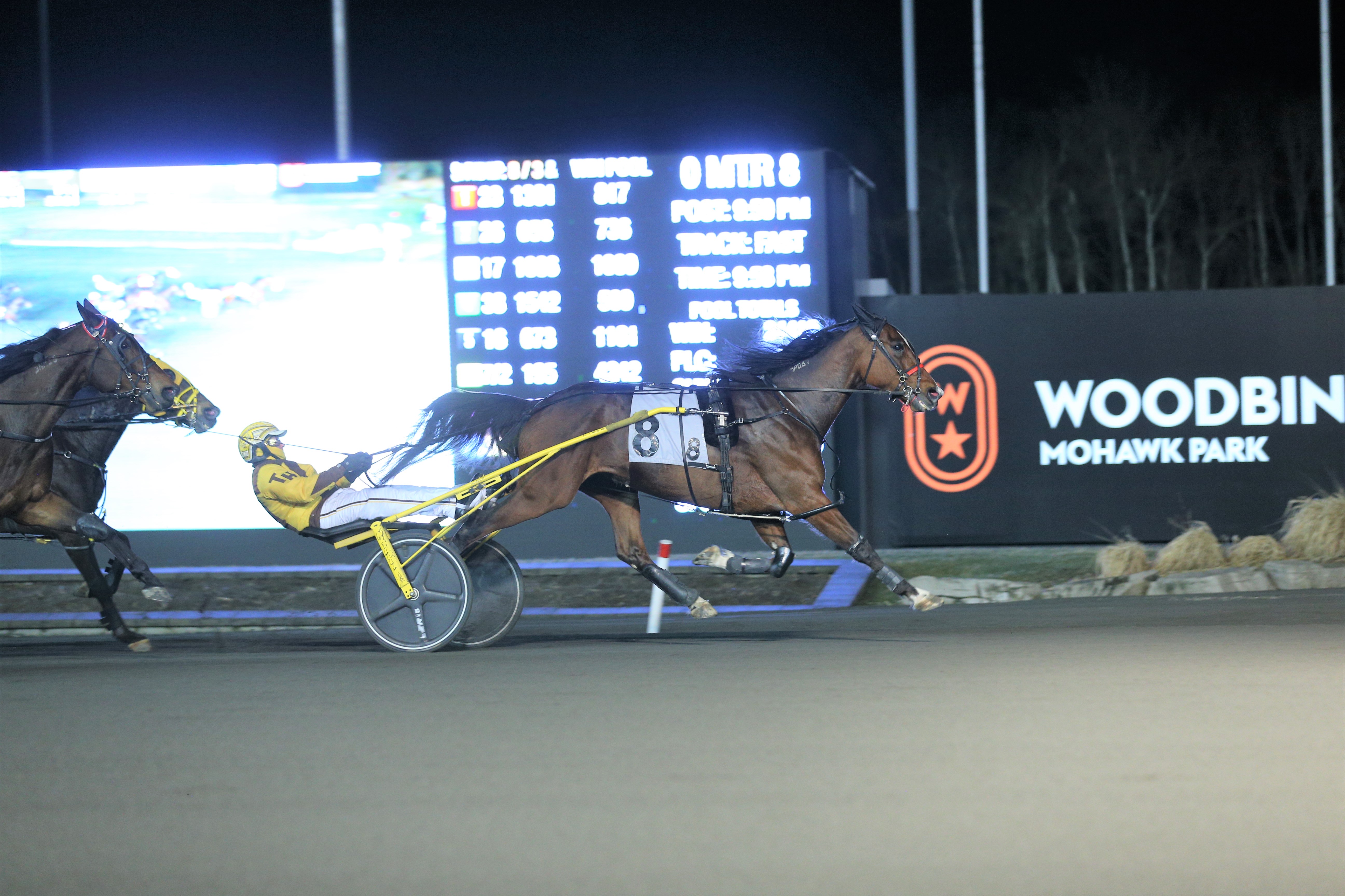 Woodbine announces enhanced Free For All