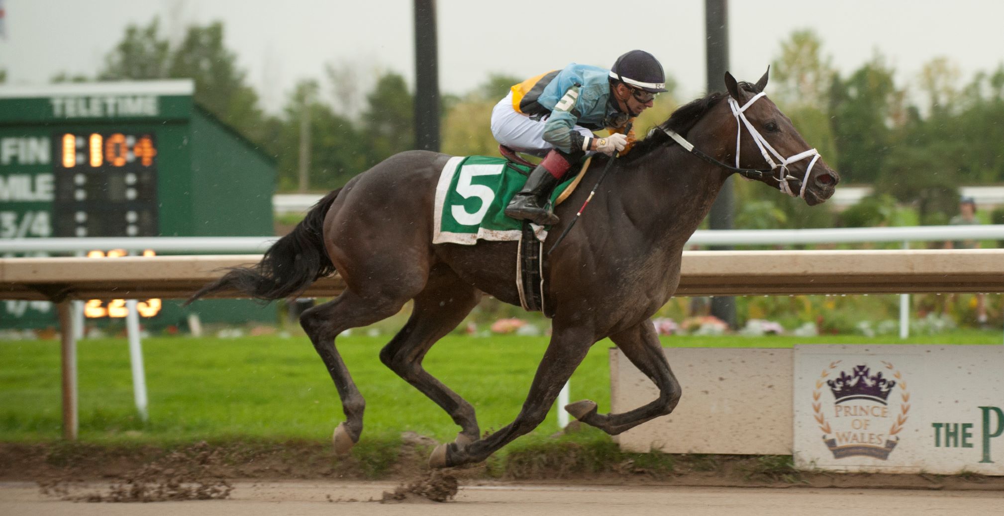 Pleasure’s Gold Battles to Win $100,000 Rondeau Bay Stakes