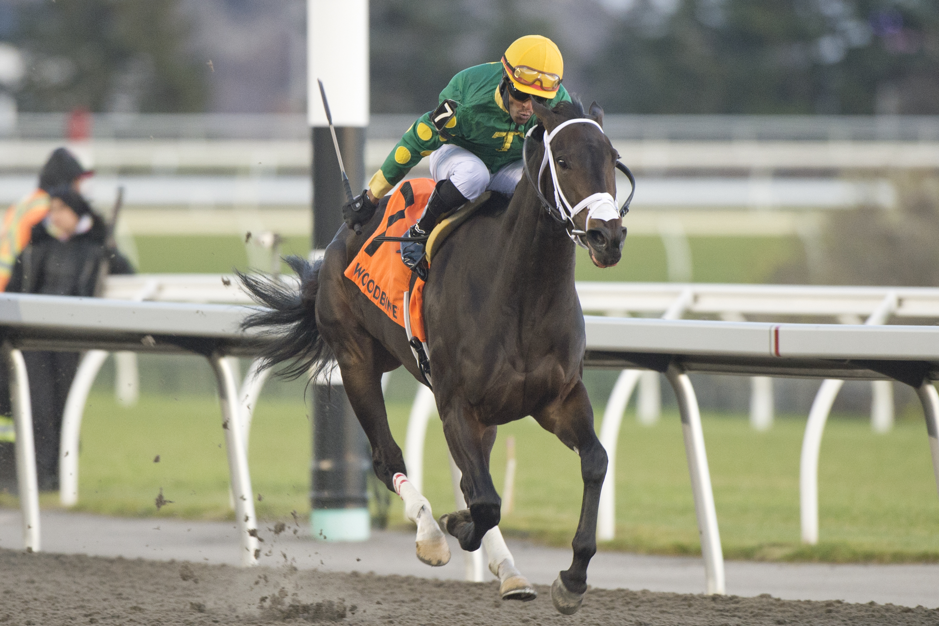 Fashionably Fab Takes Ontario Sire Heritage Series Finale Ashbridges Bay Stakes