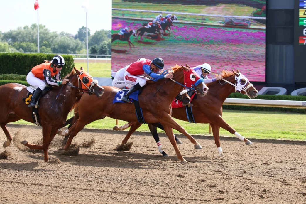 Champion First Cold Wave Headlines $51,480 Ontario Bred Derby
